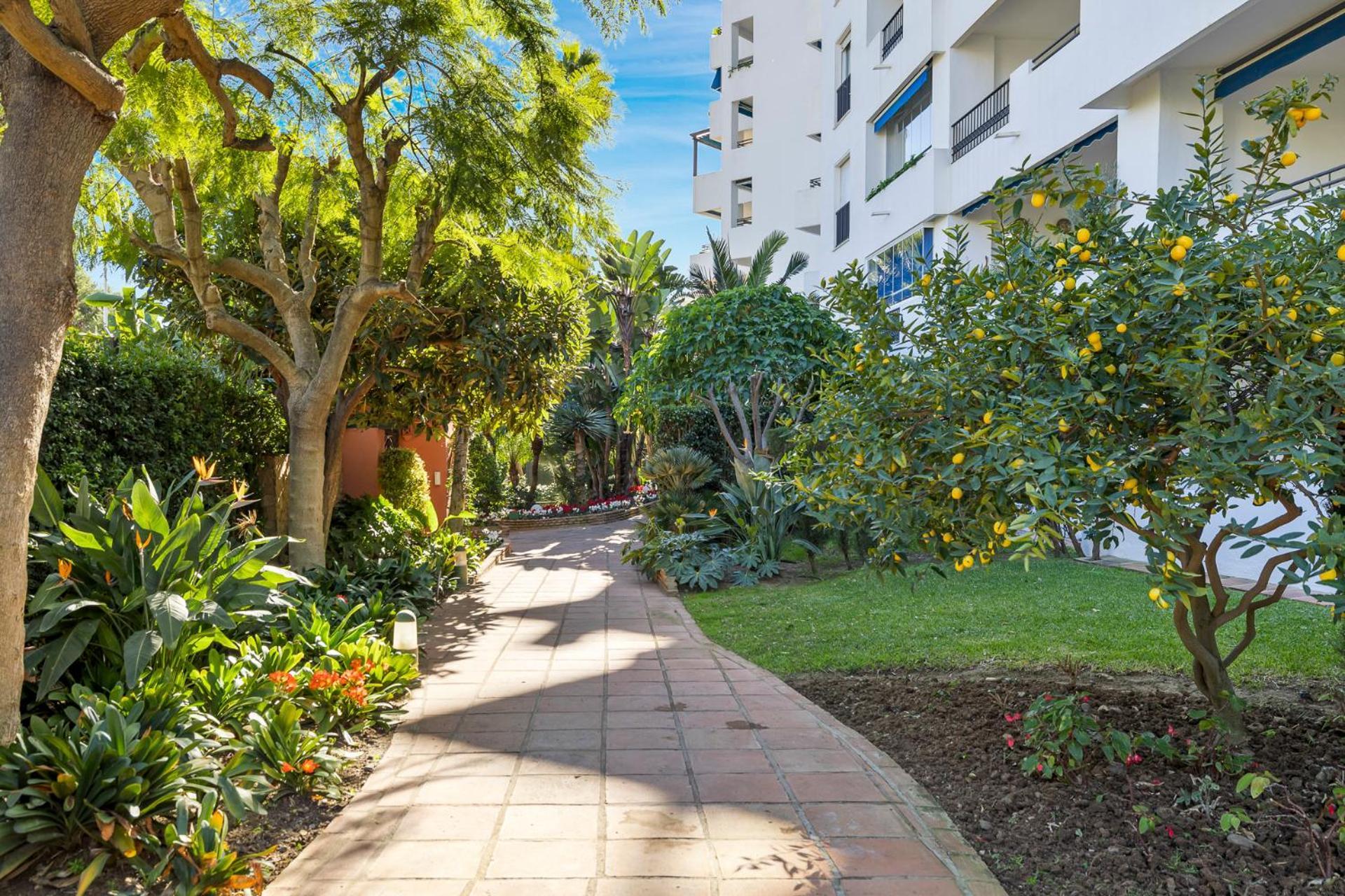 Charming And Spacious Apartment In Medina Garden - Puerto Banus 马尔韦利亚 外观 照片